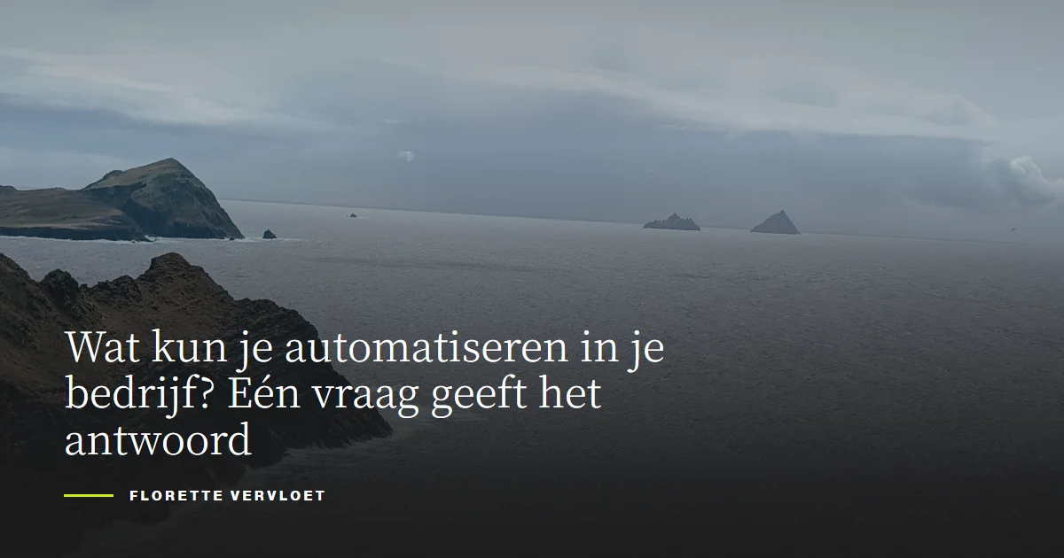 Wat kun je automatiseren in je bedrijf? Eén vraag geeft het antwoord